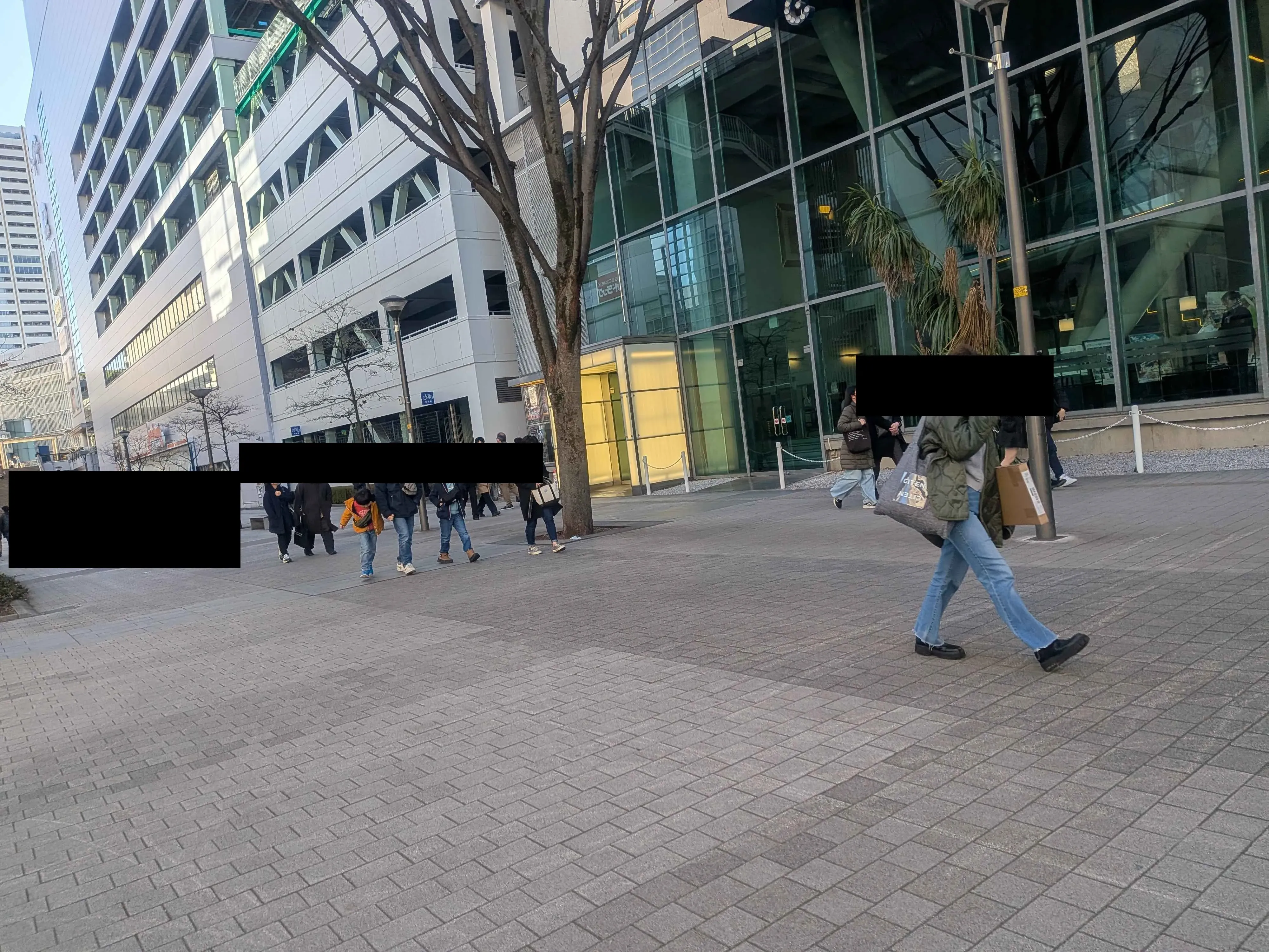 尾行するのにちょうど良さそうな木