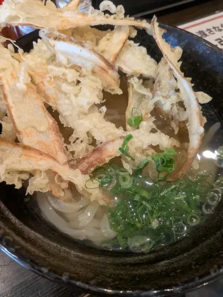 うどん うどん