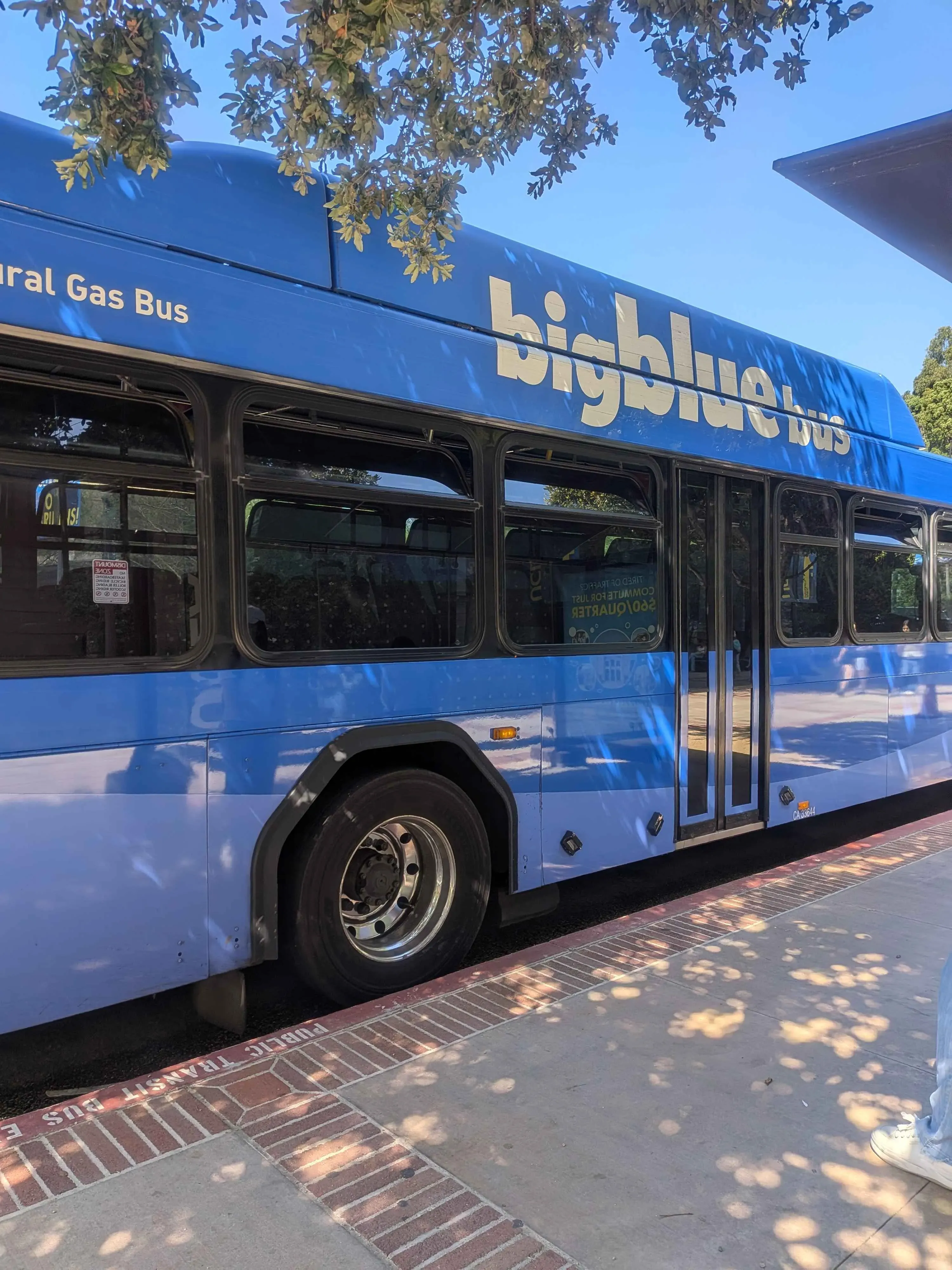 Big Blue Bus Big Blue Bus